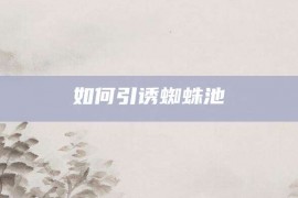 如何引诱蜘蛛池