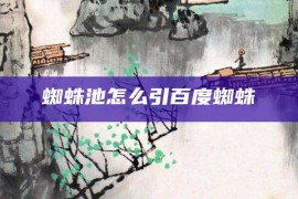 蜘蛛池怎么引百度蜘蛛