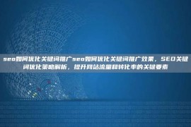 seo如何优化关键词推广seo如何优化关键词推广效果，SEO关键词优化策略解析，提升网站流量和转化率的关键要素