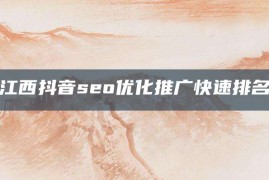 江西抖音seo优化推广快速排名