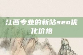 江西专业的新站seo优化价格