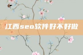 江西seo软件好不好做