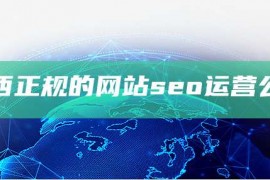 江西正规的网站seo运营公司