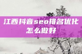 江西抖音seo排名优化怎么做好