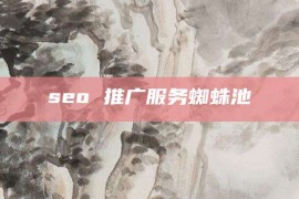 seo 推广服务蜘蛛池