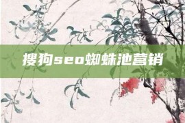 搜狗seo蜘蛛池营销