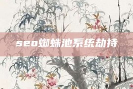 seo蜘蛛池系统劫持