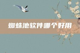 蜘蛛池软件哪个好用