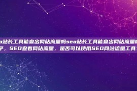 seo站长工具能查出网站流量吗seo站长工具能查出网站流量吗知乎，SEO查看网站流量，是否可以使用SEO网站流量工具？