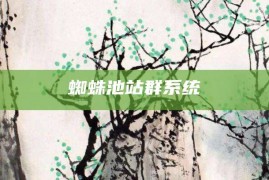 蜘蛛池站群系统