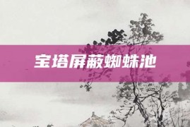 宝塔屏蔽蜘蛛池