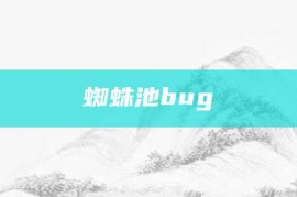 蜘蛛池bug