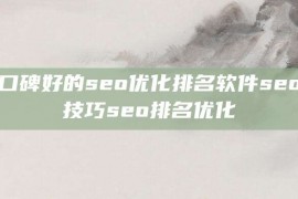 口碑好的seo优化排名软件seo技巧seo排名优化