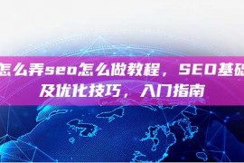 seo怎么弄seo怎么做教程，SEO基础知识及优化技巧，入门指南