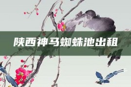 陕西神马蜘蛛池出租