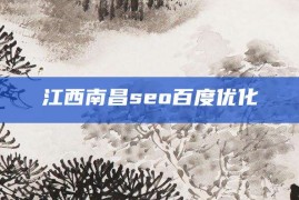 江西南昌seo百度优化