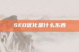 SEO优化是什么东西