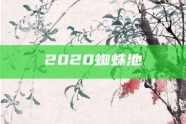 2020蜘蛛池