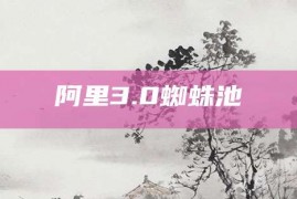 阿里3.0蜘蛛池