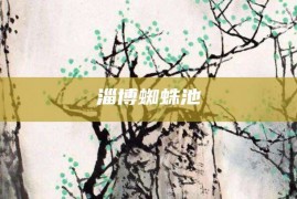 淄博蜘蛛池