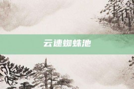 云速蜘蛛池