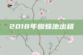 2018年蜘蛛池出租