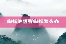 蜘蛛池吸引蜘蛛怎么办