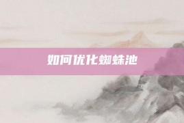 如何优化蜘蛛池