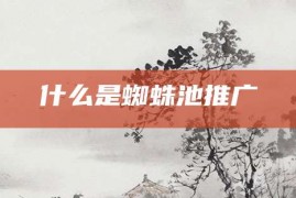 什么是蜘蛛池推广