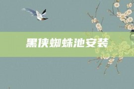 黑侠蜘蛛池安装