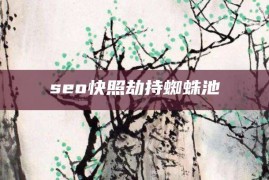 seo快照劫持蜘蛛池