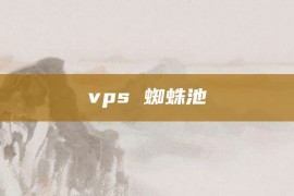 vps 蜘蛛池