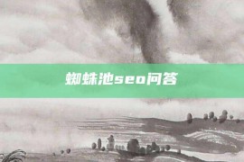 蜘蛛池seo问答