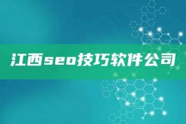 江西seo技巧软件公司