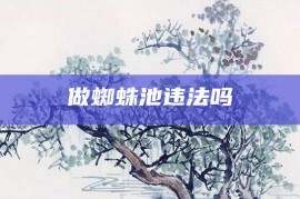 做蜘蛛池违法吗