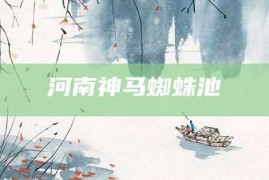 河南神马蜘蛛池