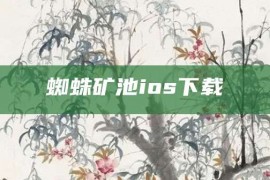 蜘蛛矿池ios下载