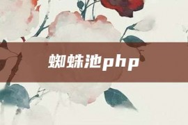 蜘蛛池php