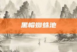 黑帽蜘蛛池