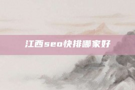 江西seo快排哪家好