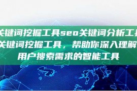 seo关键词挖掘工具seo关键词分析工具，SEO关键词挖掘工具，帮助你深入理解潜在用户搜索需求的智能工具