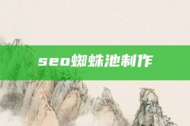 seo蜘蛛池制作