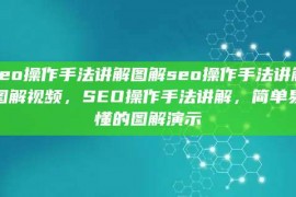 seo操作手法讲解图解seo操作手法讲解图解视频，SEO操作手法讲解，简单易懂的图解演示