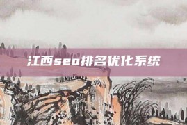 江西seo排名优化系统