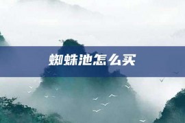 蜘蛛池怎么买