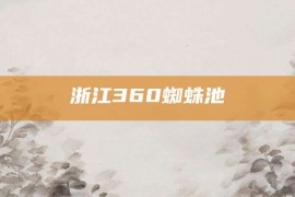 浙江360蜘蛛池