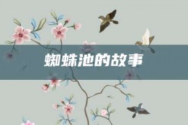 蜘蛛池的故事