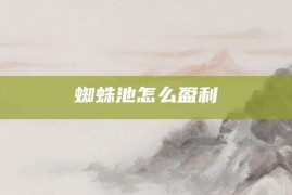 蜘蛛池怎么盈利