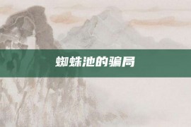 蜘蛛池的骗局