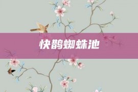 快鹊蜘蛛池